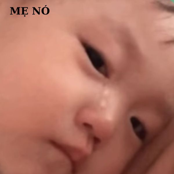 ảnh troll khóc chửi