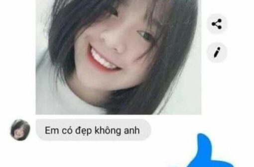 188+ Ảnh troll messenger cực hài hước và thú vị