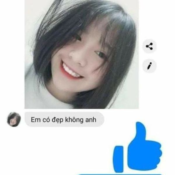ảnh troll messenger like