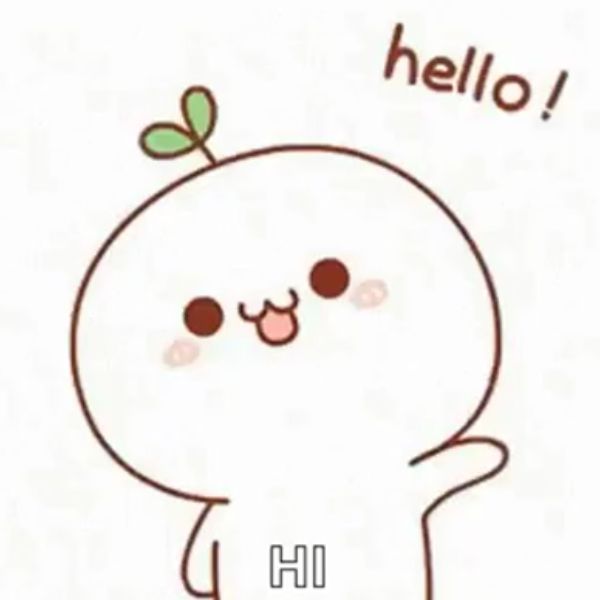 hình ảnh meme xin chào cute