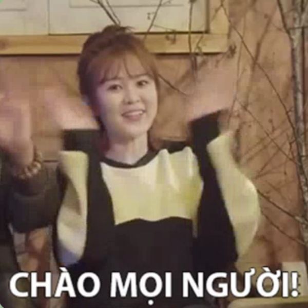 hình ảnh meme xin chào siêu hài