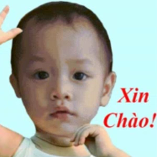 hình ảnh meme xin chào troll team