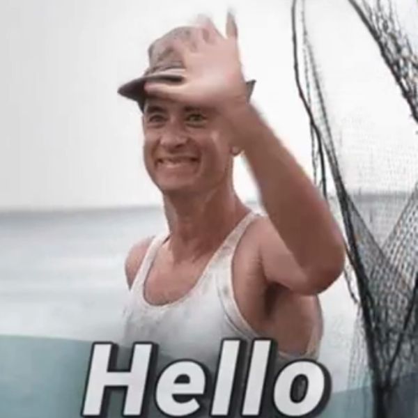 hình ảnh meme xin chào troll