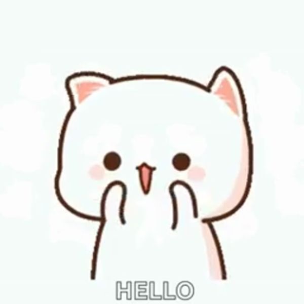 hình ảnh meme xin chào