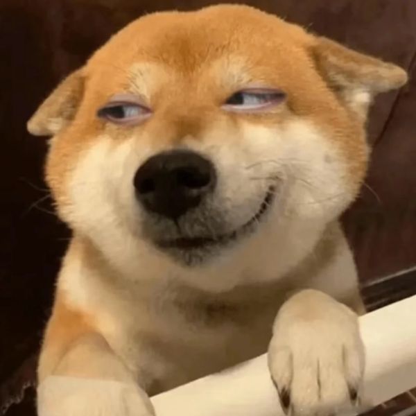 meme chó cười nhếch mép