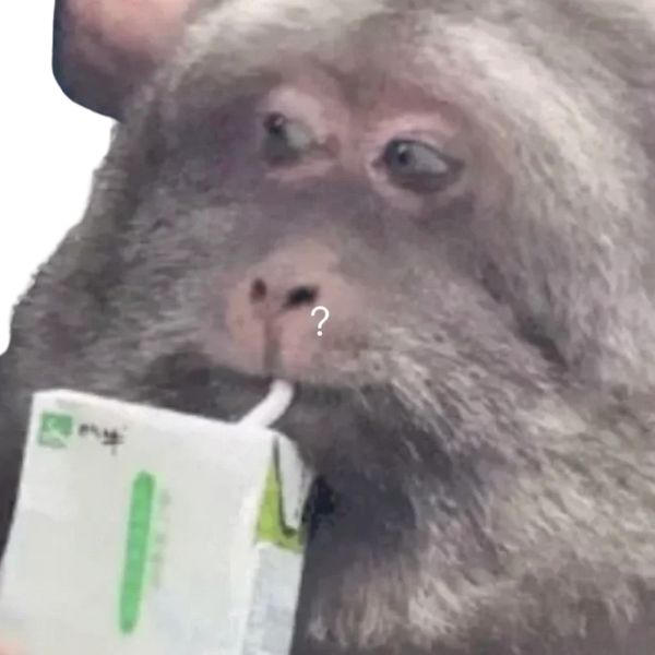 monkey meme uống sữa