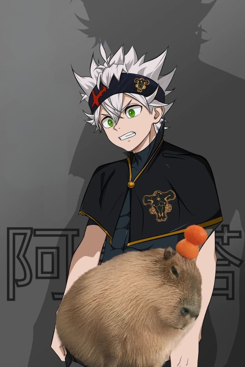 ảnh Asta hd