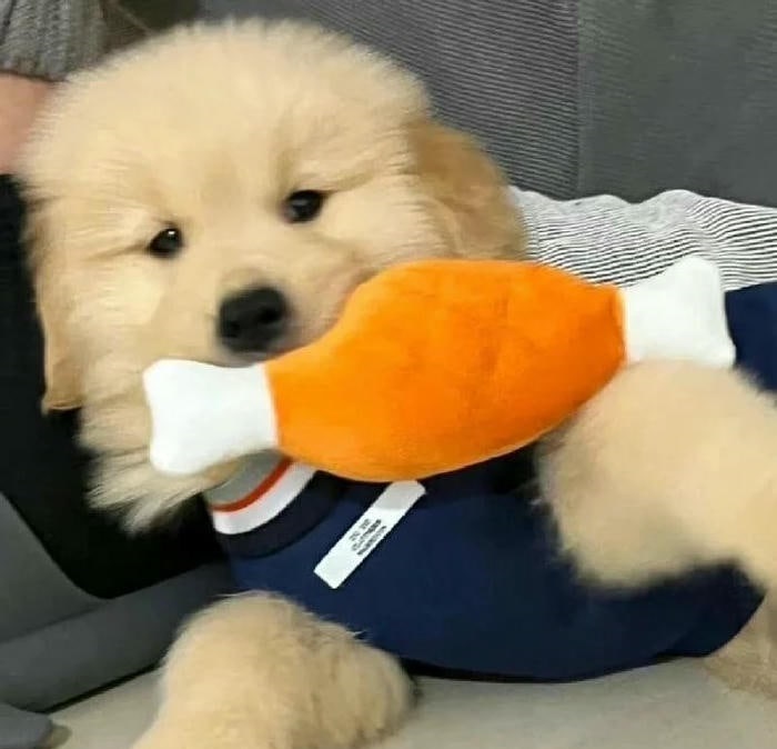 ảnh avatar chó cute cực đáng yêu