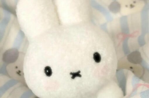 Chọn lọc 200+ avatar con thỏ cute đẹp và ngộ nghĩnh