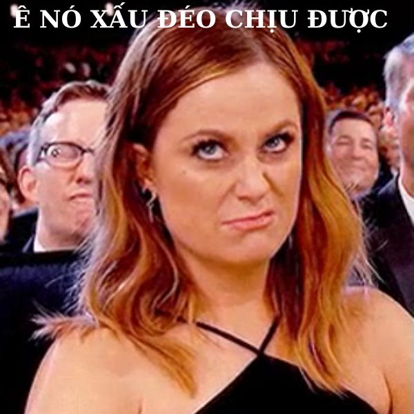 ảnh meme khinh bỉ bựa