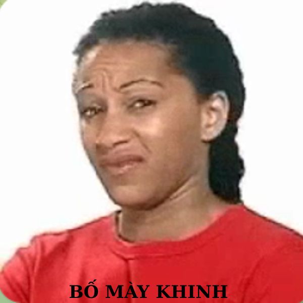 ảnh meme khinh bỉ cực hài