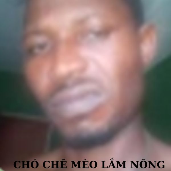 ảnh meme khinh bỉ hài