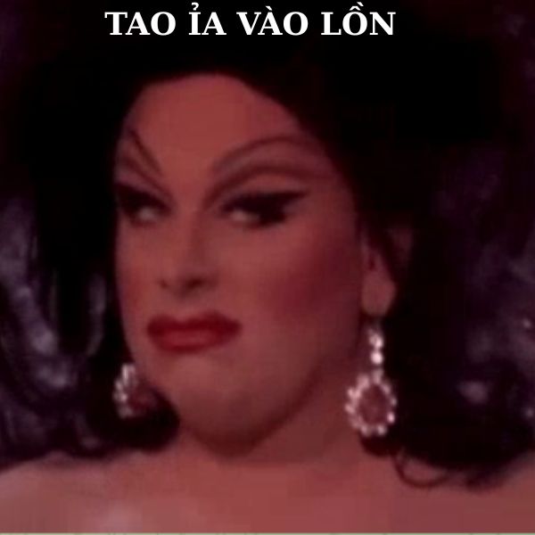 ảnh meme khinh bỉ troll team