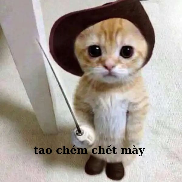 ảnh meme mèo cầm dao cực hài