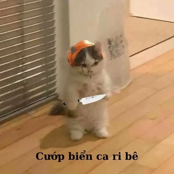 ảnh meme mèo cầm dao troll team