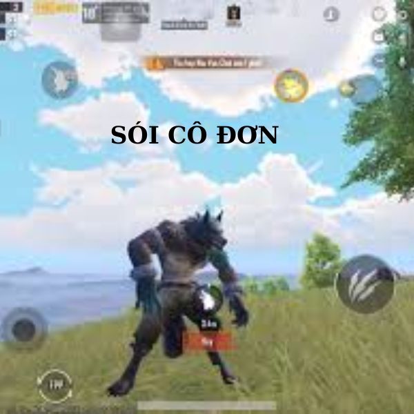 ảnh sói cô độc meme hài