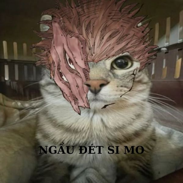 ảnh sukuna meme hài hước