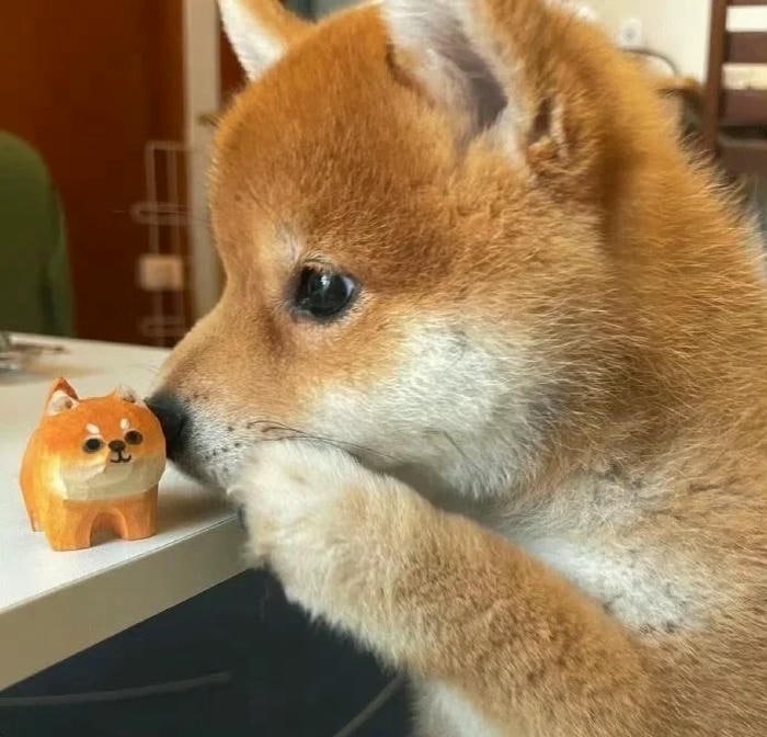 avatar chó cute yêu