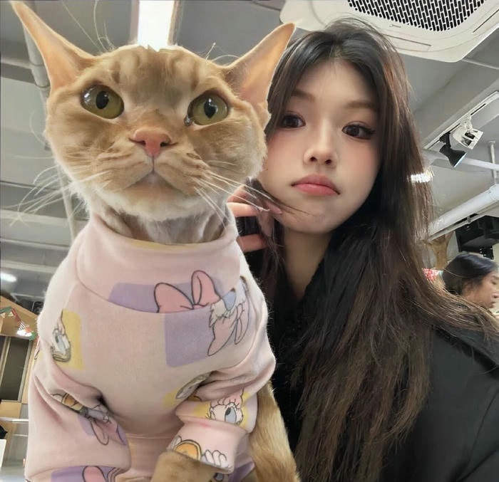 avatar gái xinh siêu dễ thương