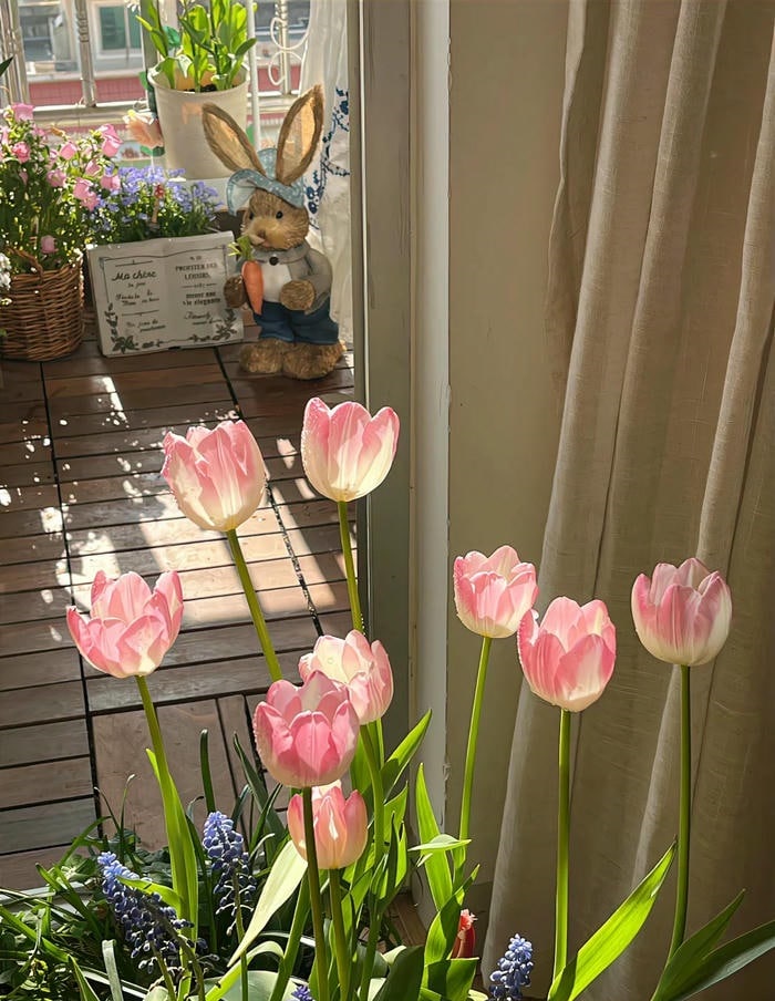 avatar hoa tulip cute 4k