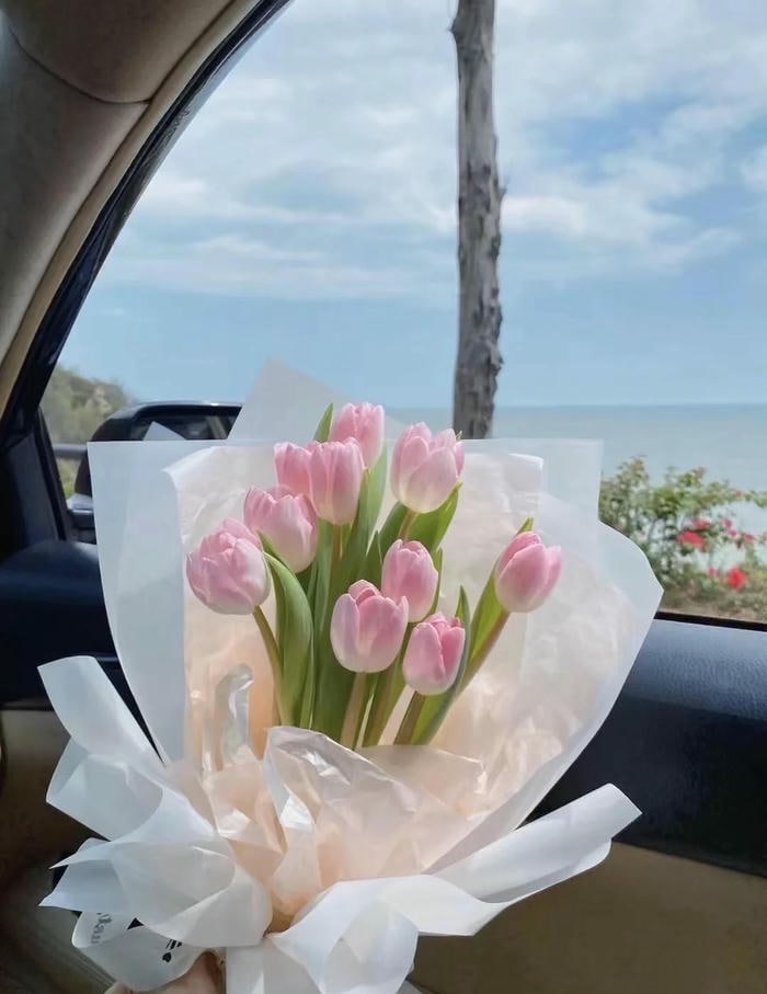 avatar hoa tulip đáng yêu nhất