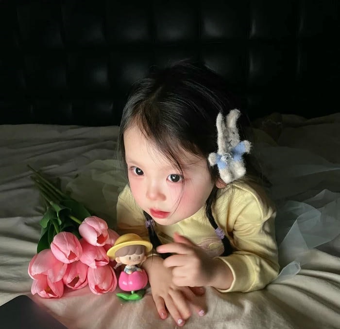 avatar hoa tulip đẹp full hd