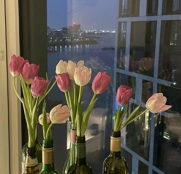 avatar hoa tulip đẹp nhất