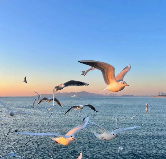 avatar phong cảnh 4k đẹp