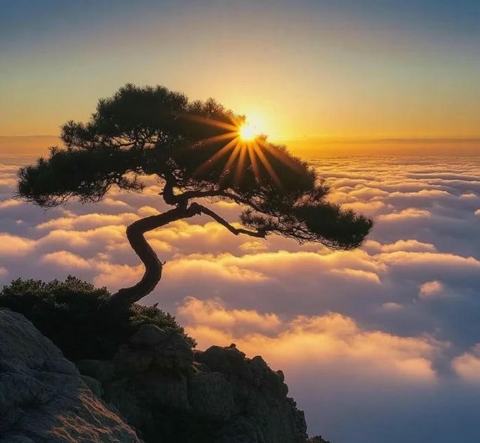 avatar phong cảnh đáng yêu 4k