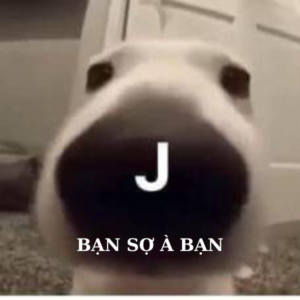 bạn sợ à meme chó trắng