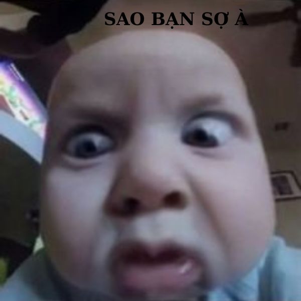 bạn sợ à meme trợn mắt