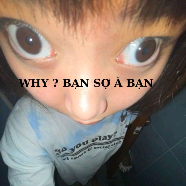 bạn sợ à meme why