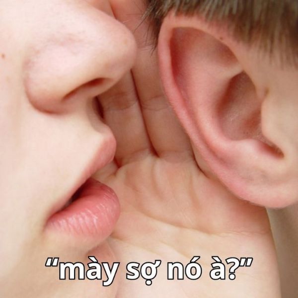bạn sợ à meme