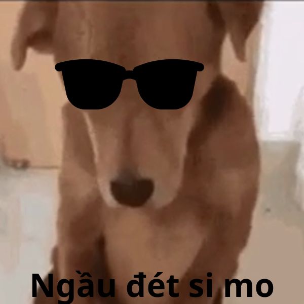doge meme đeo kính