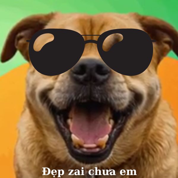 doge meme há mồm
