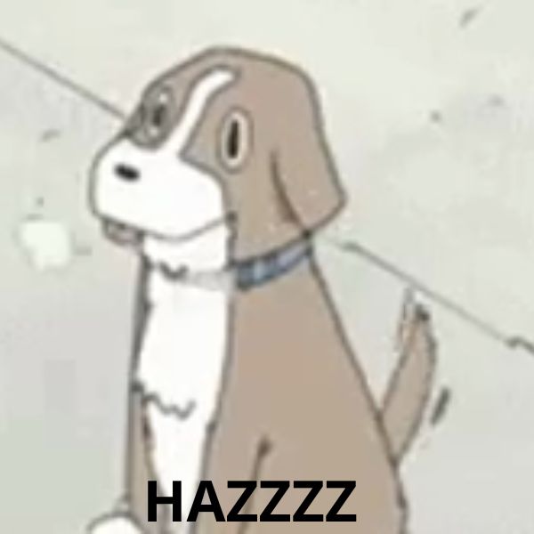 doge meme haz