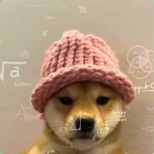 doge meme học toán