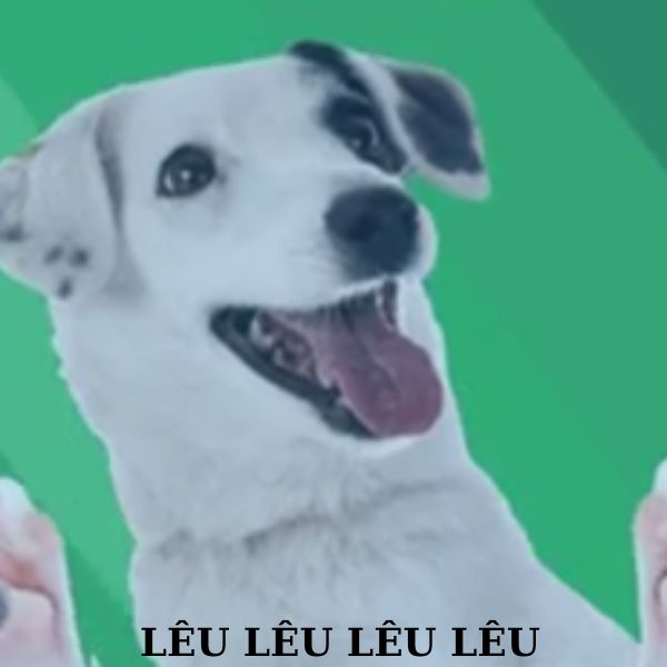 doge meme lêu lêu