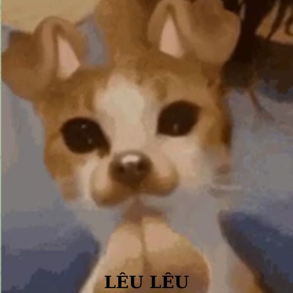 doge meme lêu