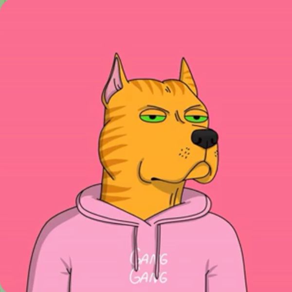doge meme màu vàng