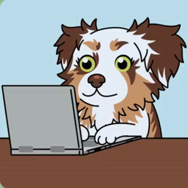 doge meme ngồi máy tính