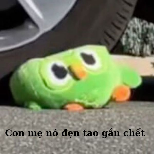 duolingo meme bị đẹn