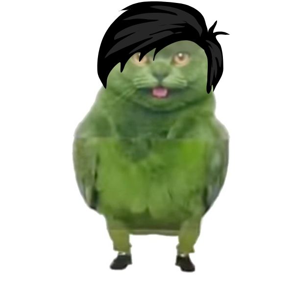 duolingo meme boy