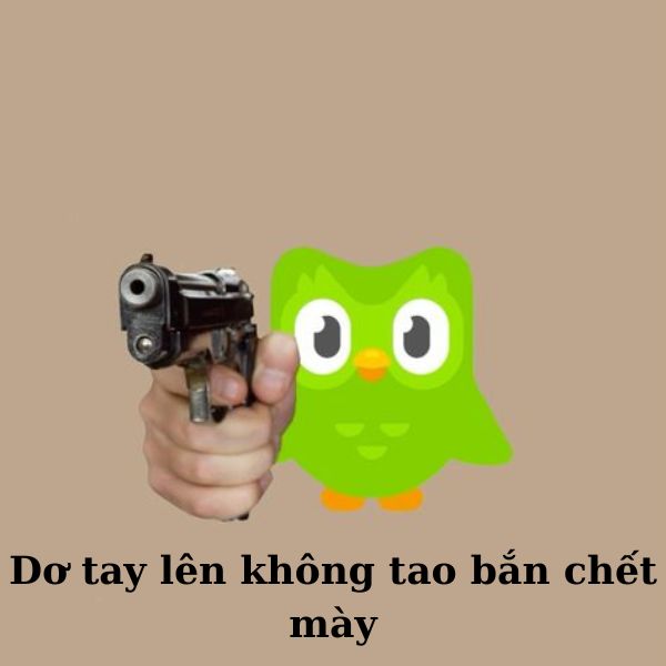 duolingo meme cầm súng ngắn