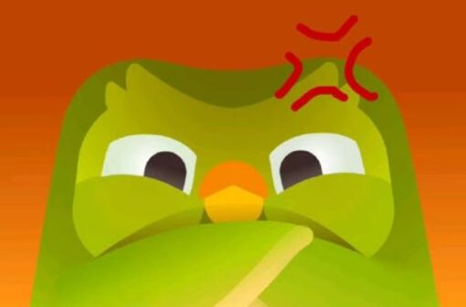 Chia sẻ miễn phí bộ duolingo meme cute, tức giận có chữ siêu hài hước