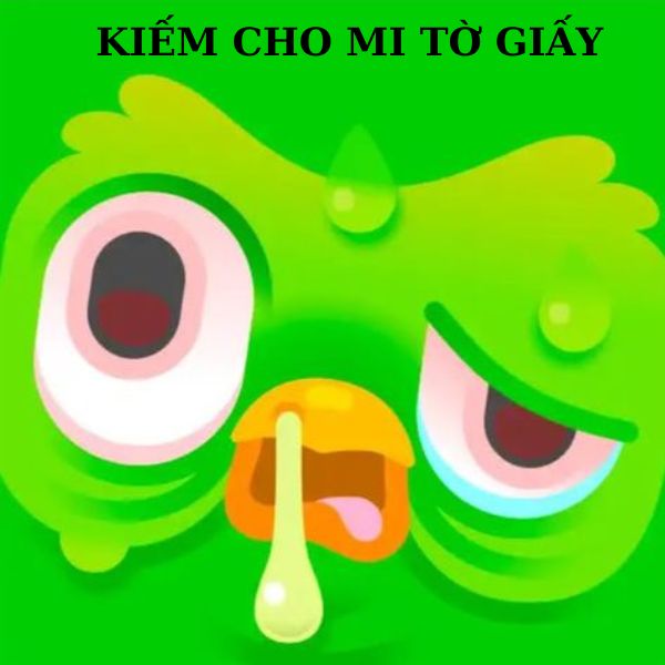 duolingo meme chảy nước mũi
