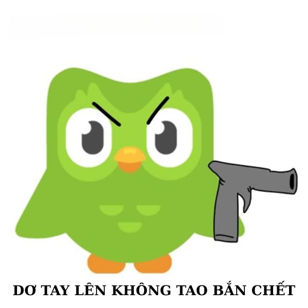 duolingo meme dơ tay lên