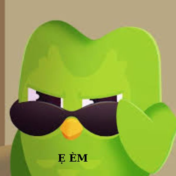 duolingo meme em