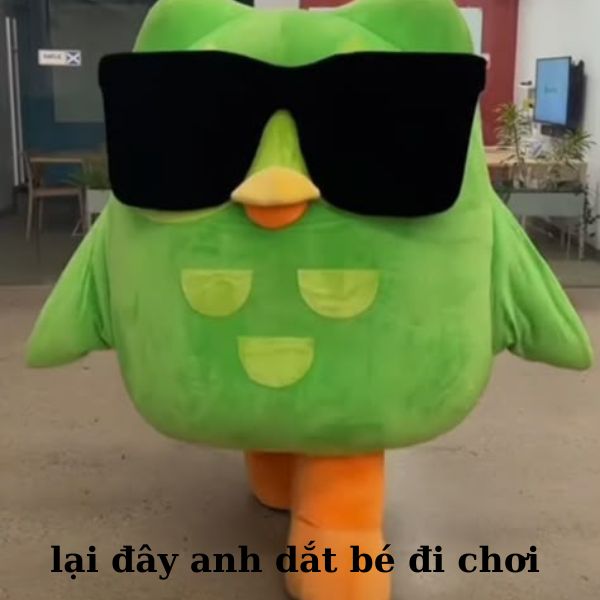 duolingo meme lại đây