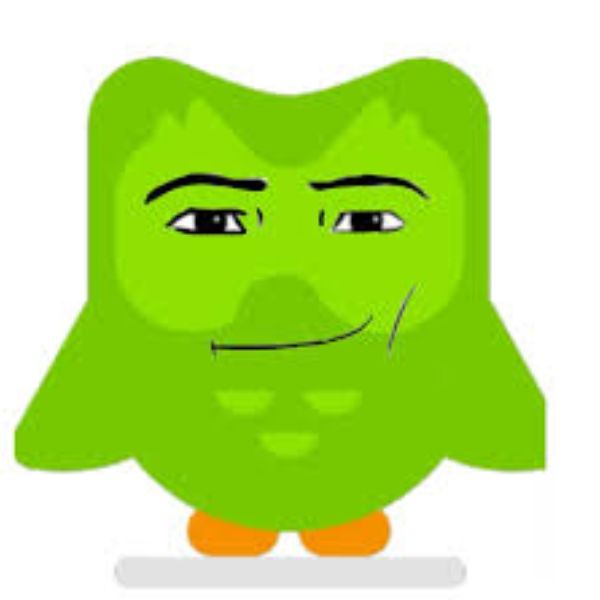 duolingo meme mặt to